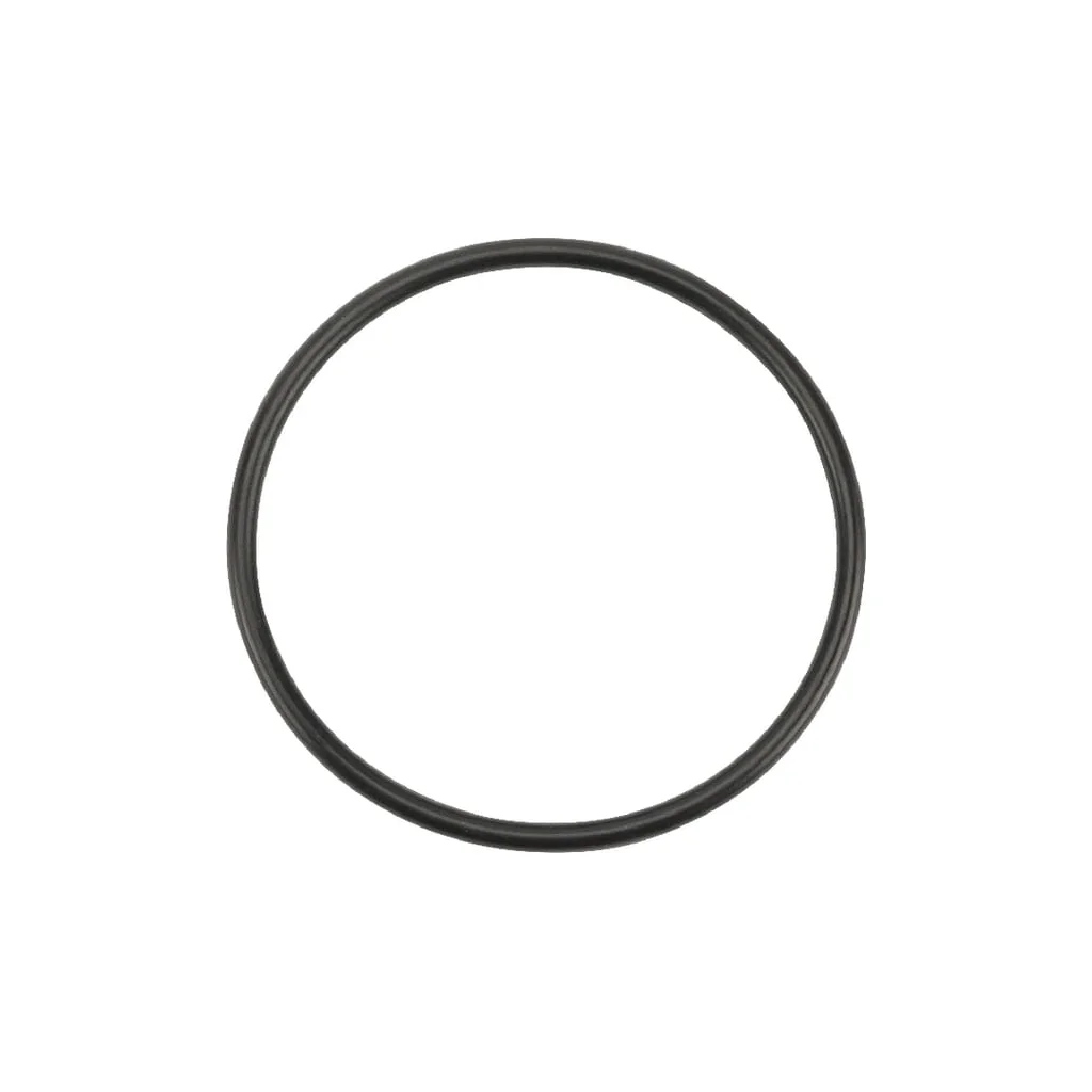 [AMAT2-358425] O-ring 48.9x2.62 90 shore 10x OR489026290P010