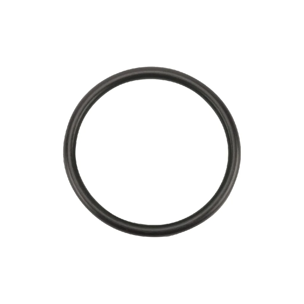 [AMAT2-358626] O-ring 29.82x2.62 90 shore 10x OR298226290P010