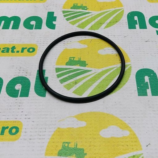 [AMAT1-27005] O-Ring 2.1530.141.0