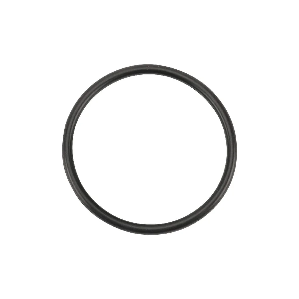 [AMAT2-359030] O-ring 37.77x2.62 90 shore 10x OR377726290P010