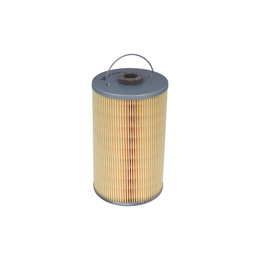 [AMAT2-360263] Element filtrant combustibil P10181