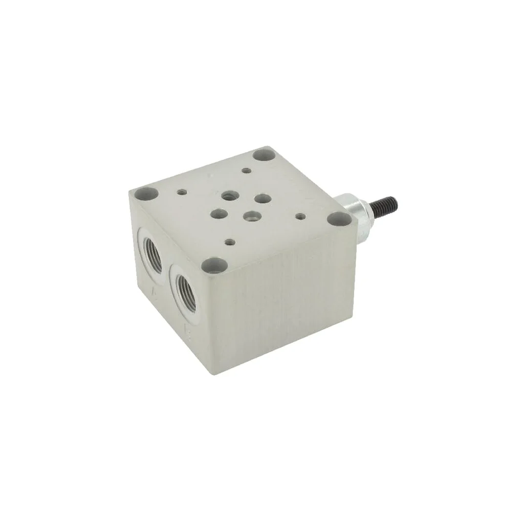 [AMAT2-360607] Placă de bază cu supapă eliberare presiune P06E2GEZ