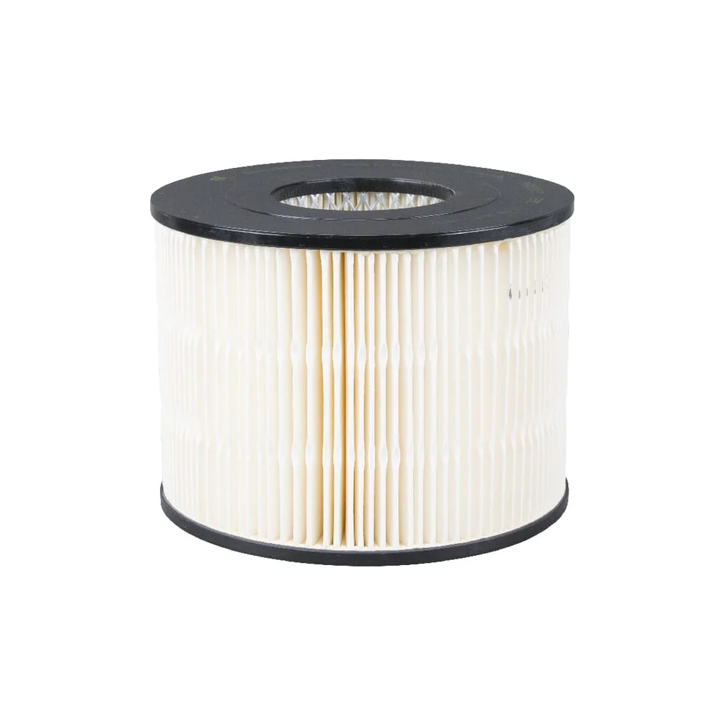 [AMAT2-361100] Filtru de aer P500017