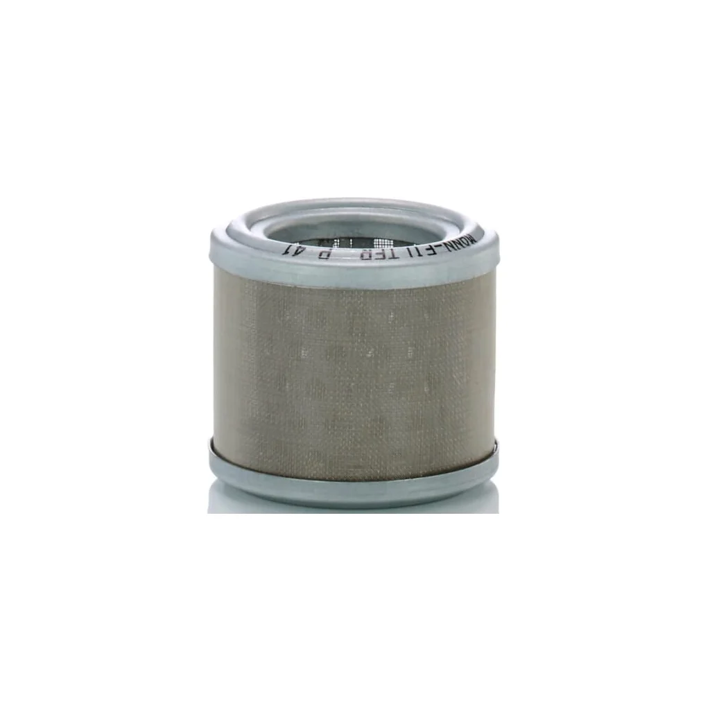 [AMAT2-361594] Filtru de combustibil P41