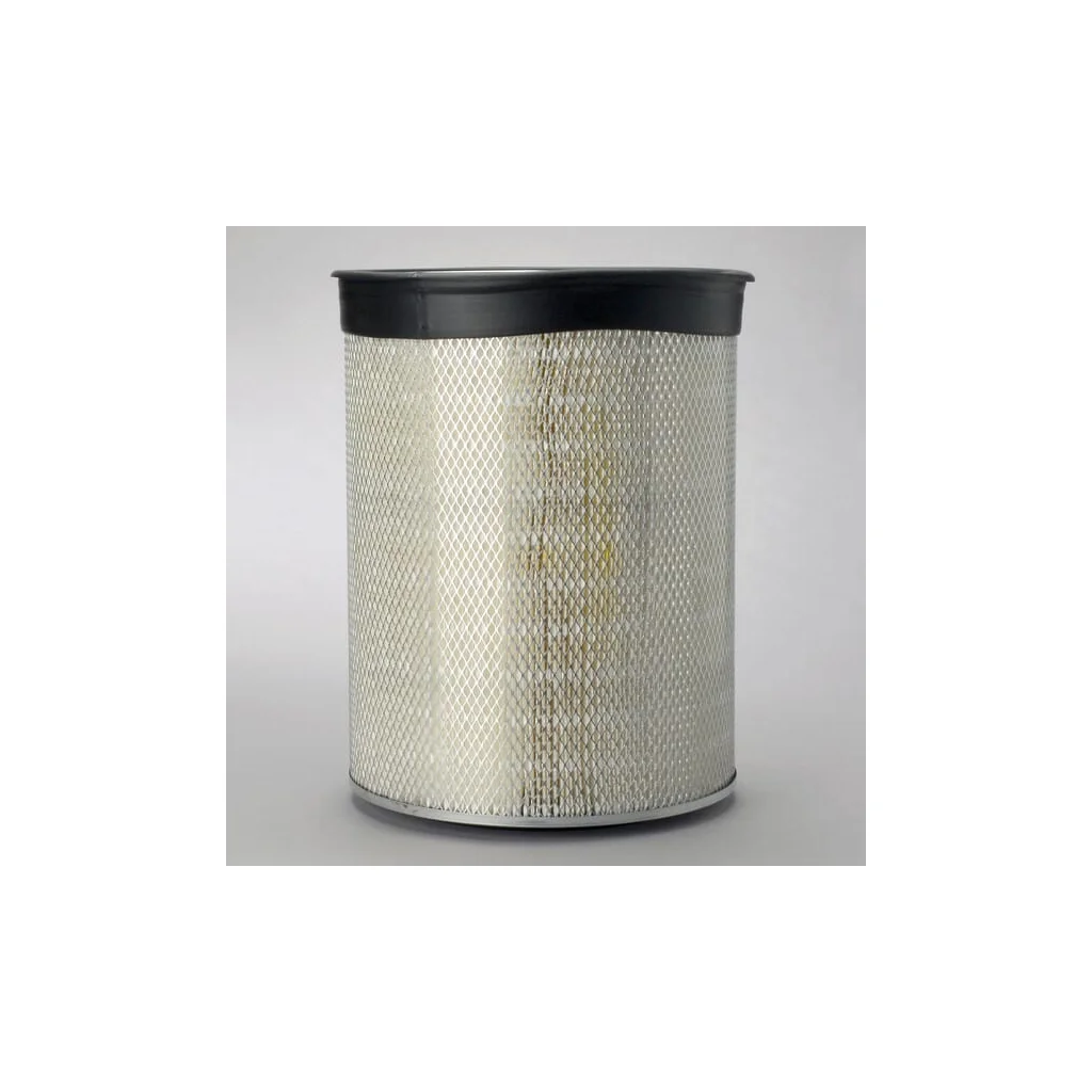 [AMAT2-361648] Filtru aer exterior P181193
