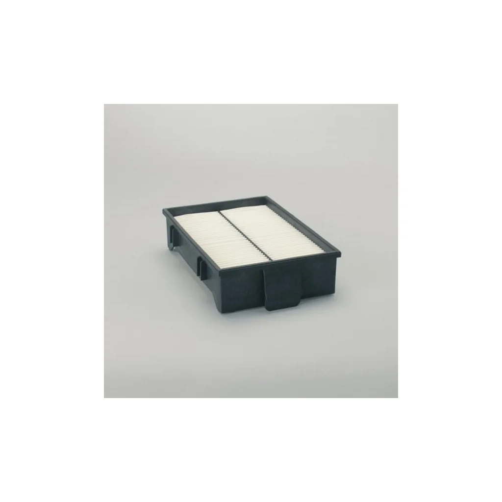 [AMAT2-361913] Filtru de aer P500248