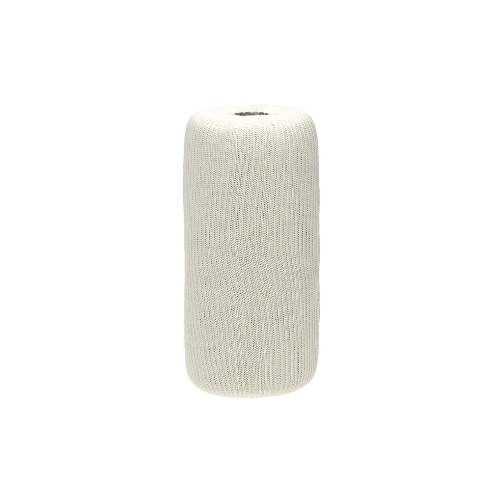 [AMAT2-362289] Cartuș filtru combustibil P550541