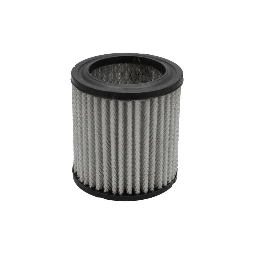 [AMAT2-362408] Filtru aer principal P606079