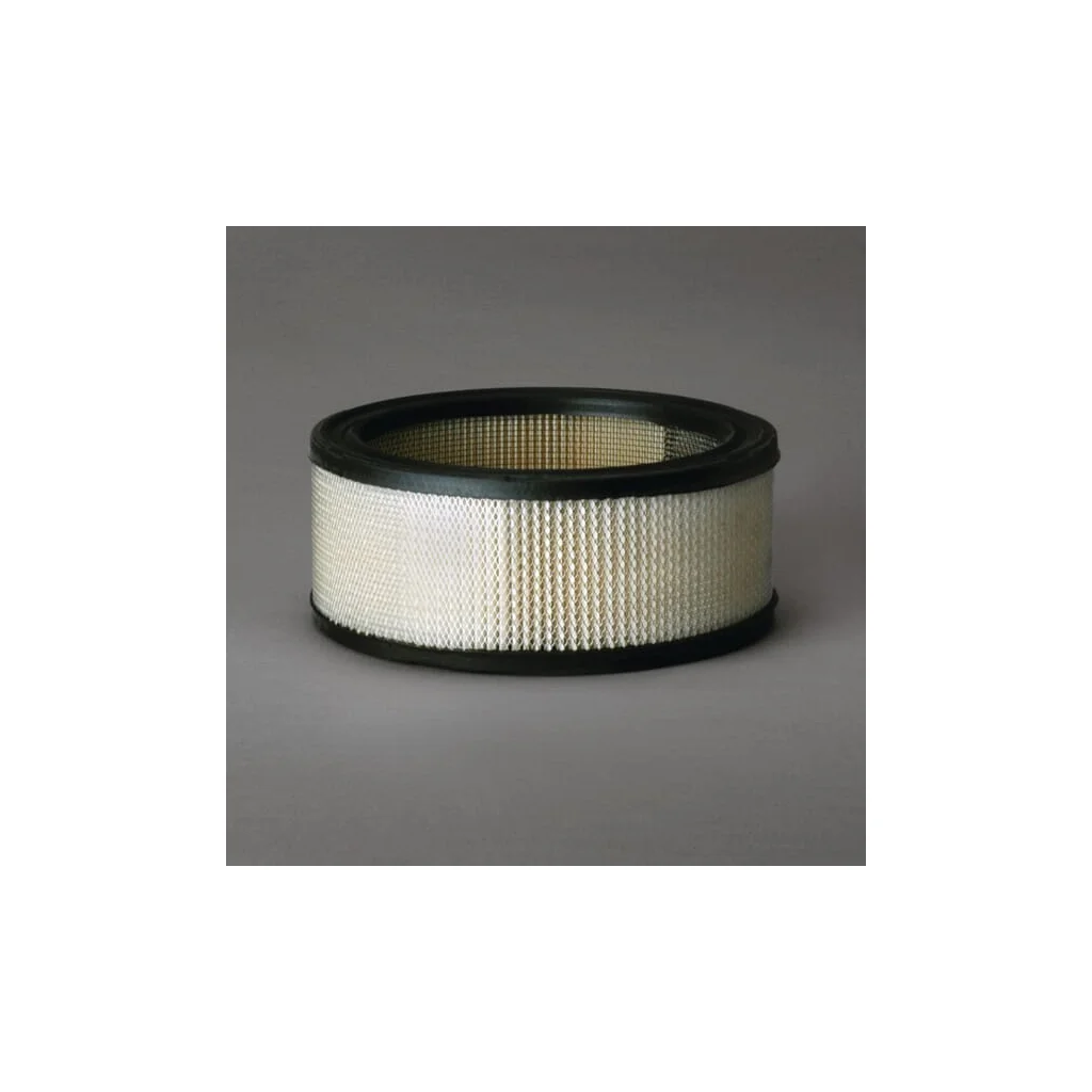 [AMAT2-362469] Filtru aer principal rotund P607255