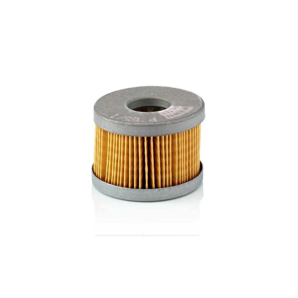 [AMAT2-362558] Filtru de combustibil P651X