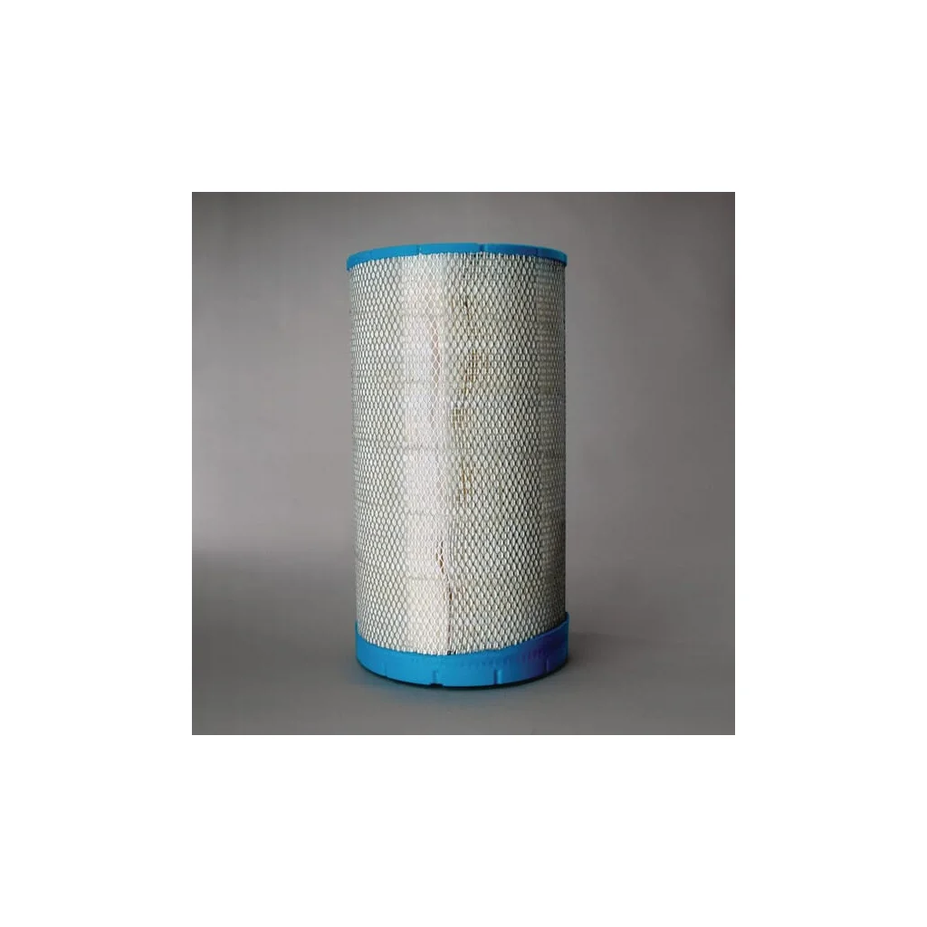 [AMAT2-362776] Filtru aer exterior P613333