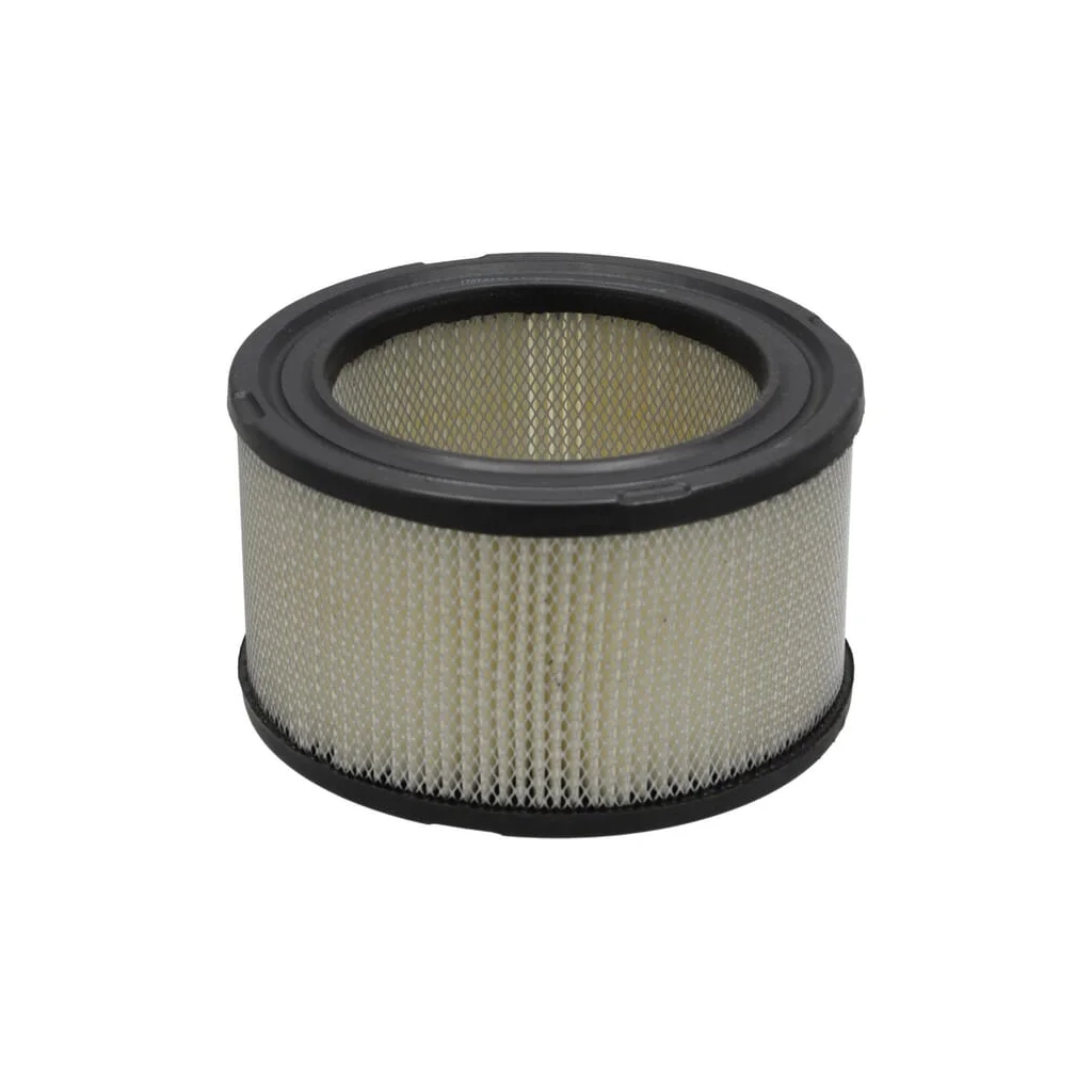 [AMAT2-363014] Filtru aer exterior P607234
