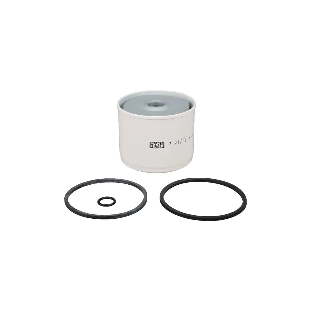 [AMAT2-363360] Element filtrant combustibil P9172X