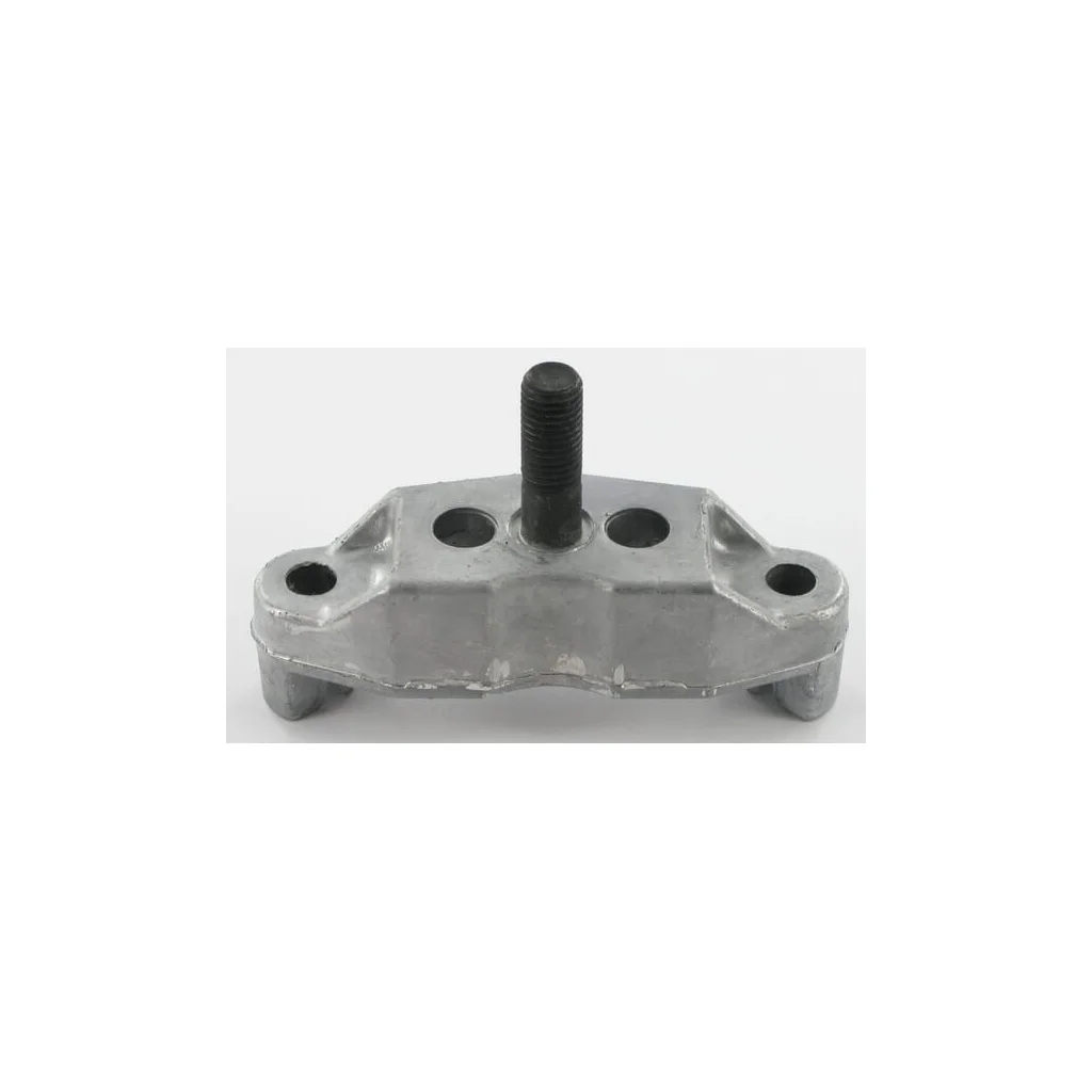 [AMAT2-363484] Suport frână P790025