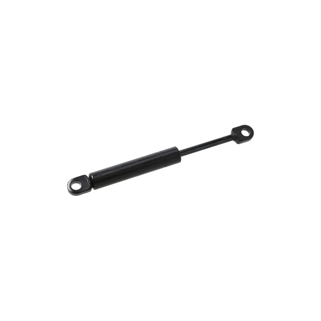 [AMAT2-363490] Amortizor P798048