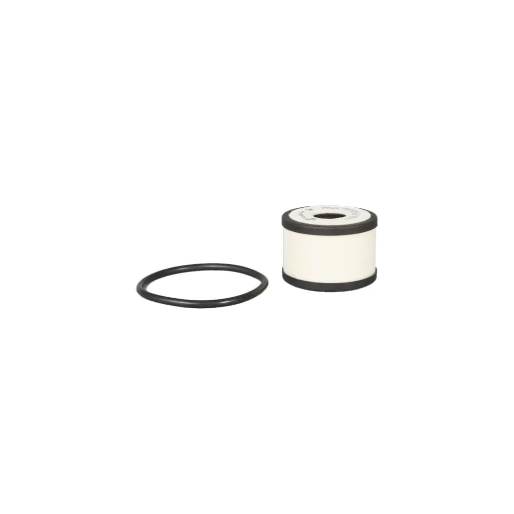 [AMAT2-363752] Filtru de ventilație carter P903615