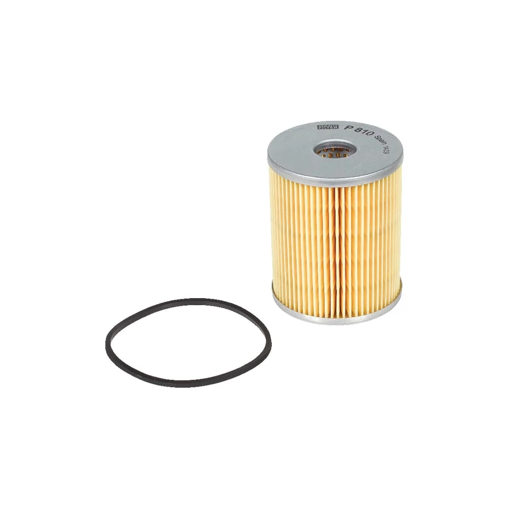 [AMAT2-363977] Element filtrant combustibil P810X