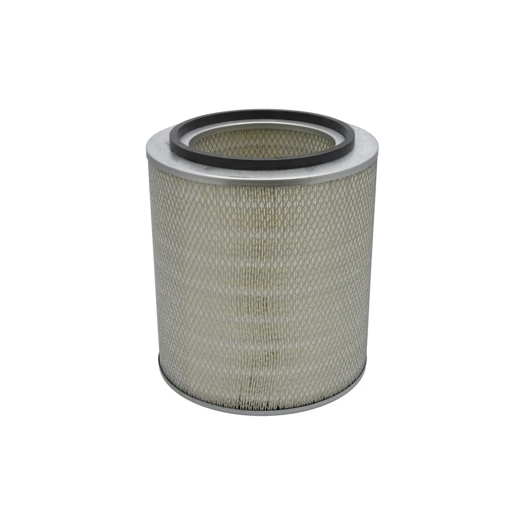 [AMAT2-364060] Filtru aer exterior P776252