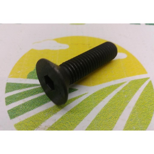 [AMAT1-27491] Surub 80120259