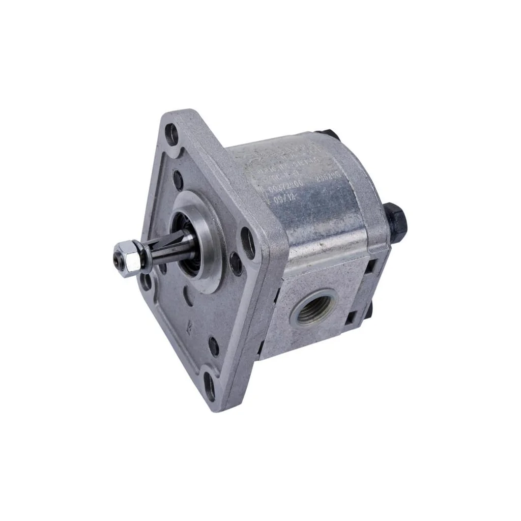 [AMAT2-366121] Pompă cu roți dințate Polaris 10 PLP101D081E1G