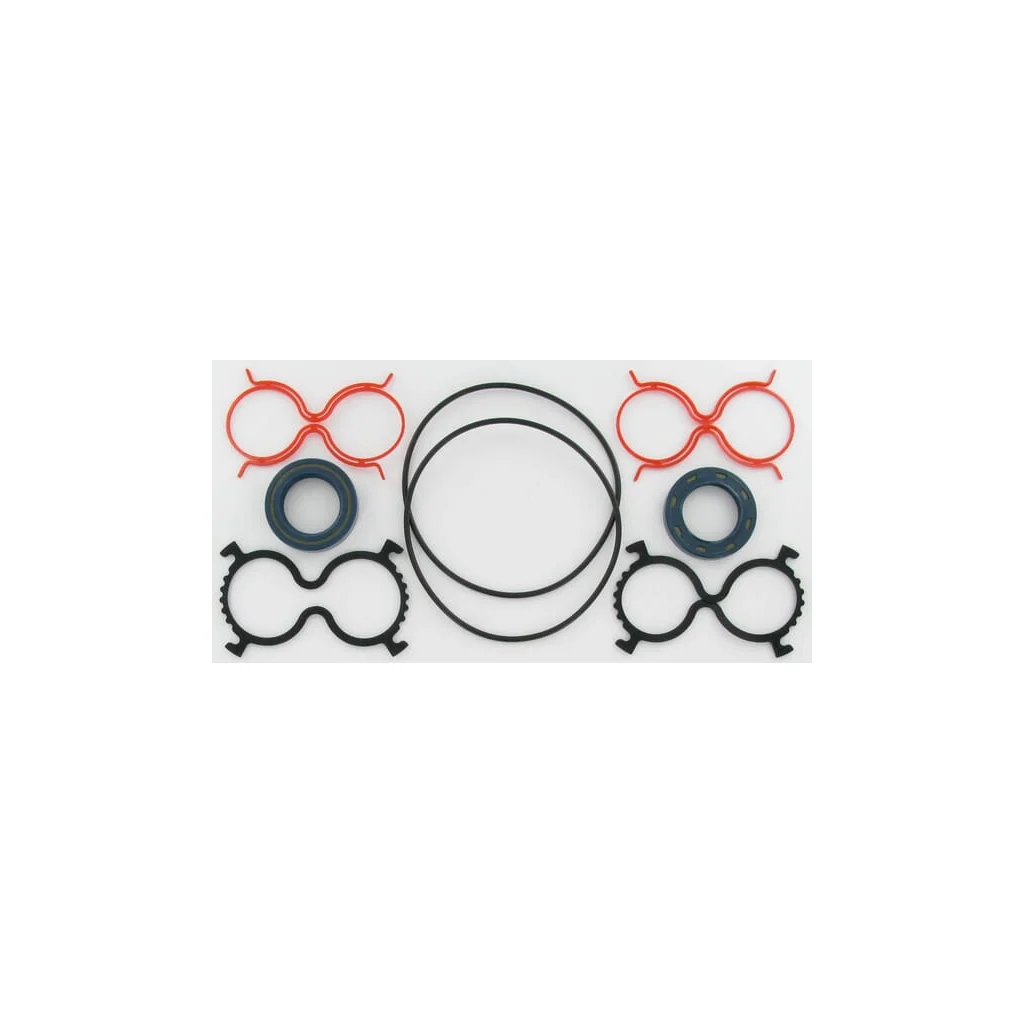 [AMAT2-366198] Set de garnituri Polaris 30-84E4 PLM93084E4AFD