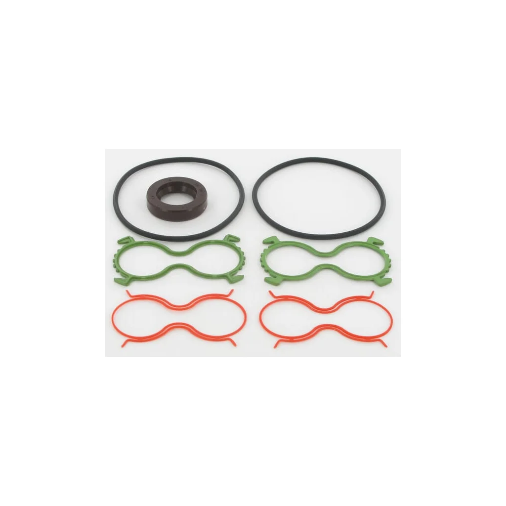 [AMAT2-366314] Set garnituri Polaris 20-31S1 Viton PLM92031S1VAFD