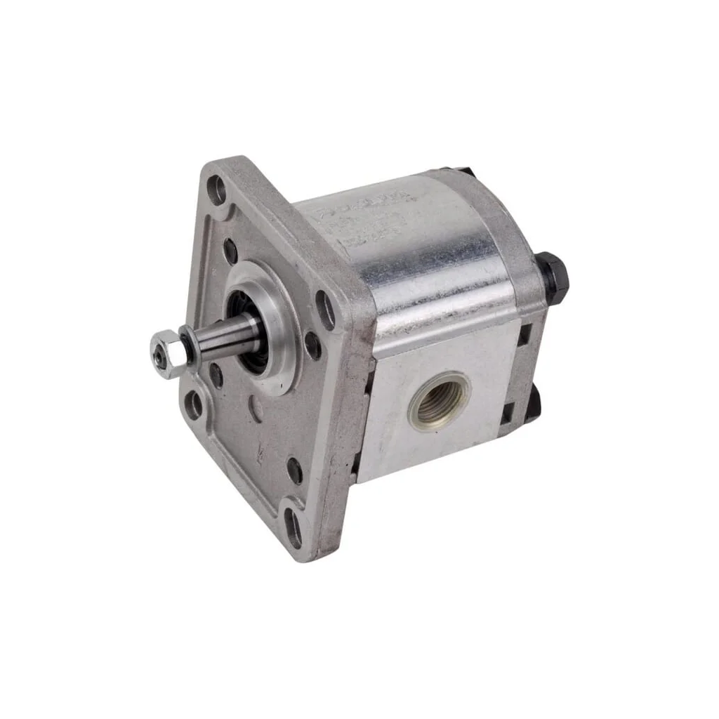 [AMAT2-366726] Pompă cu roți dințate Polaris 10 PLP104D081E1G