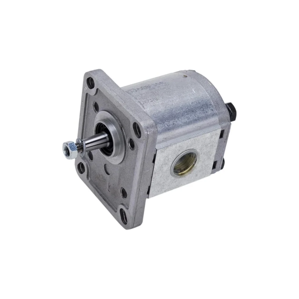 [AMAT2-366903] Pompă cu roți dințate Polaris 10 PLP106D081E1G