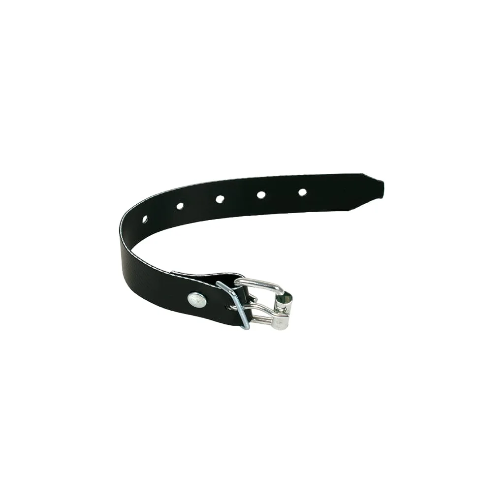[AMAT2-366909] Curea cu cataramă, neagră L=530 mm, l=20 mm, grosime=2,1 mm PL11970