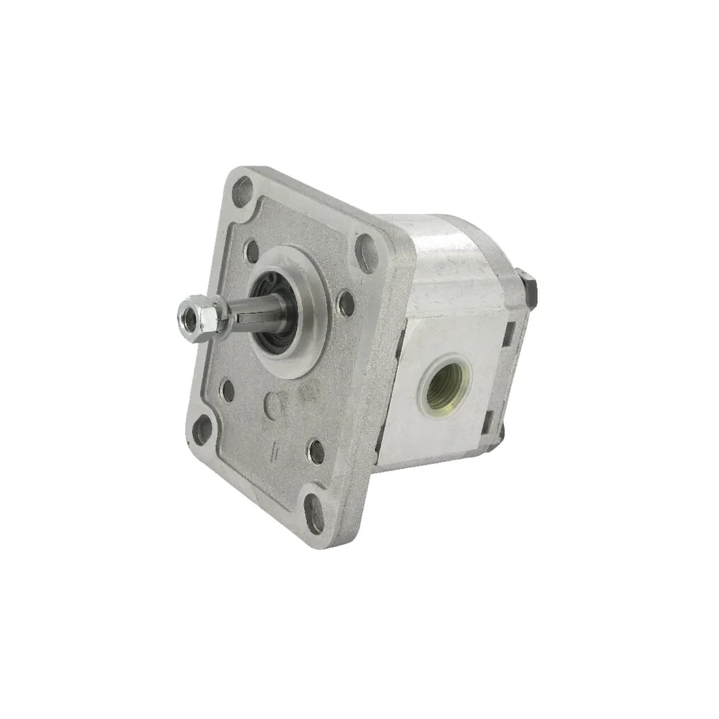 [AMAT2-367085] Pompă cu roți dințate Polaris 10 PLP102D081E1G