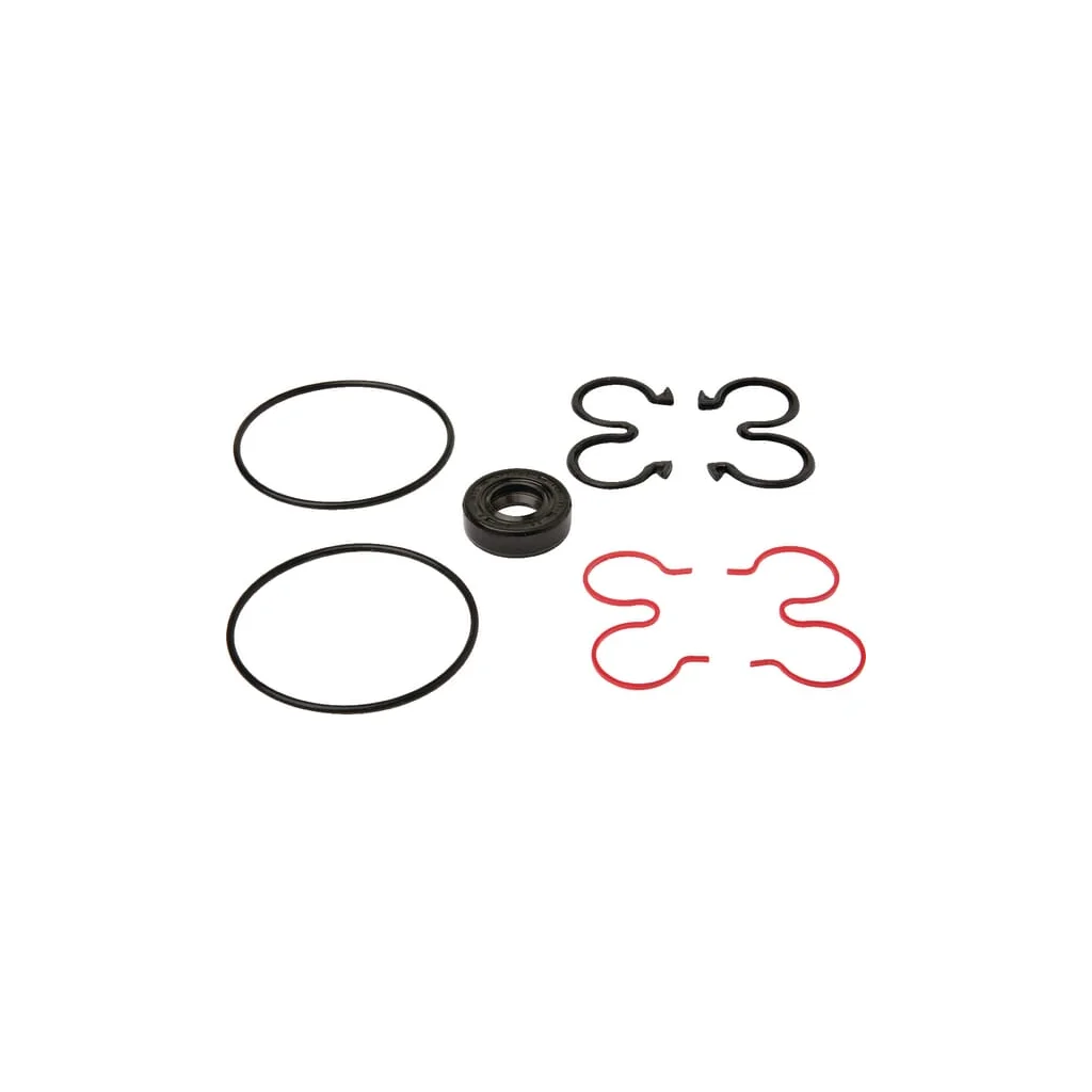 [AMAT2-367114] Set de garnituri 10-81E1 PLP91081E1