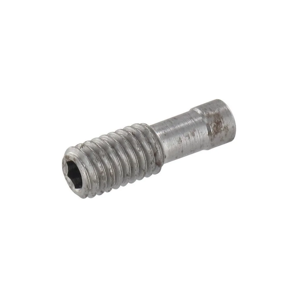 [AMAT2-369750] Dop de mascare, M6x19 155L5153 poz. 21 PVG329155L5153