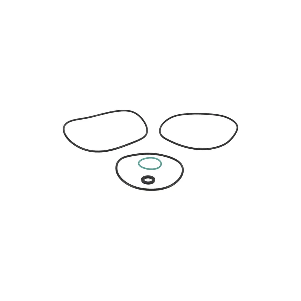 [AMAT2-371344] Set o-ring R00005306