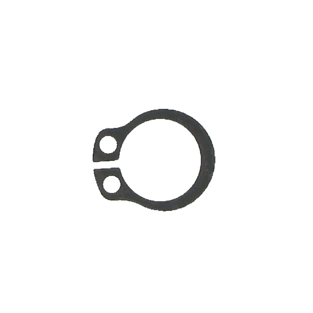 [AMAT2-286271] Șaibe elastice 10 ET20559