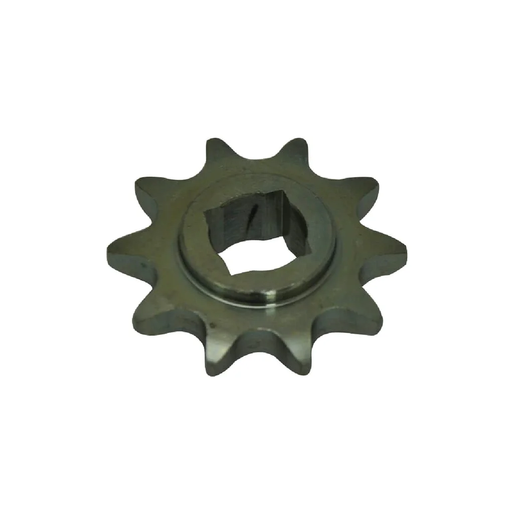 [AMAT2-305231] Pinion 10 dinți G22220113R