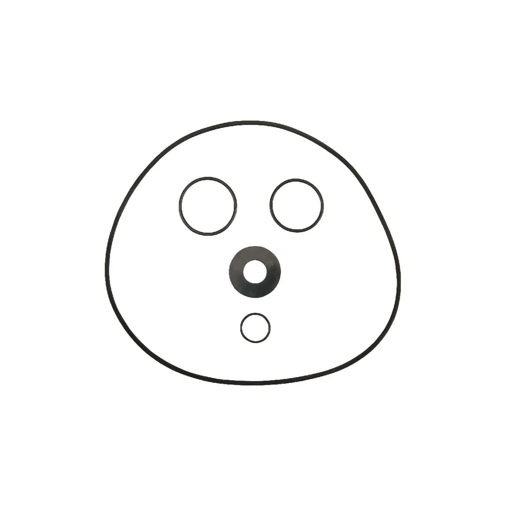 [AMAT2-371593] Set o-ring R00005202