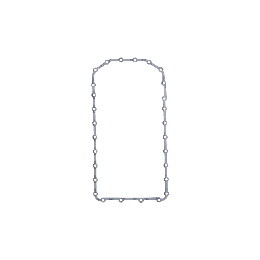 [AMAT2-372028] Garnitură carter R123352N