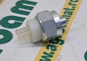 Comutator Lumini Frana 12V F291100070050 