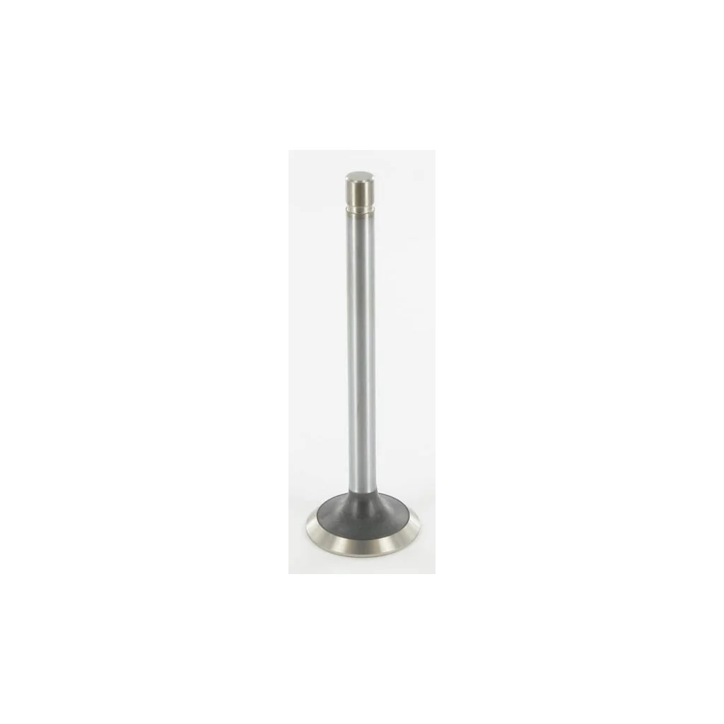 [AMAT2-372336] Supapă admisie standard R89219