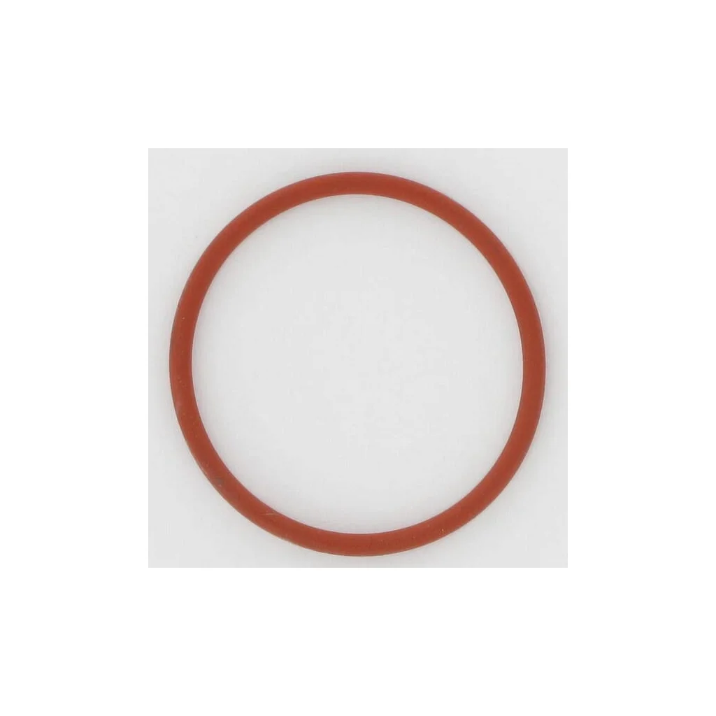 [AMAT2-287416] Garnitură pompă cu membrană ET30603