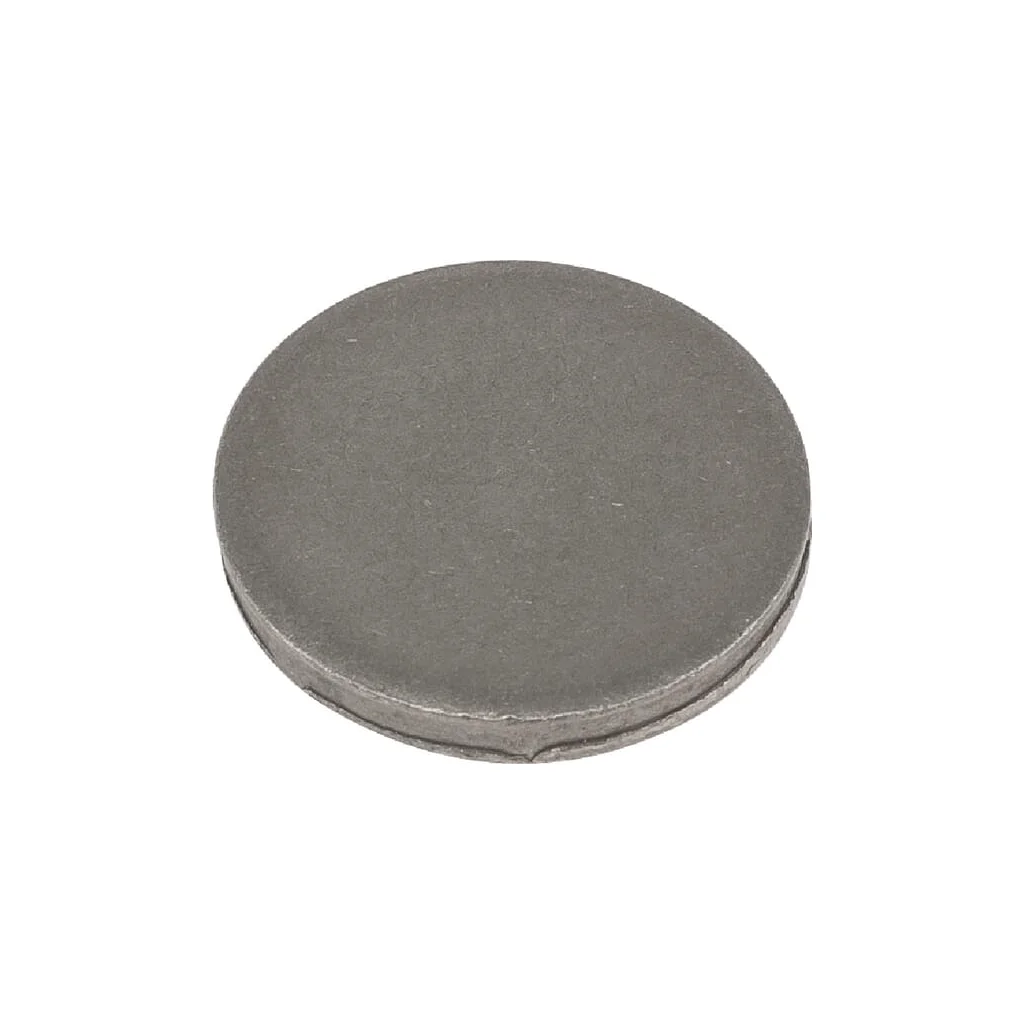 [AMAT2-374258] Disc presiune diametru 24mm grosime 3mm RB704095