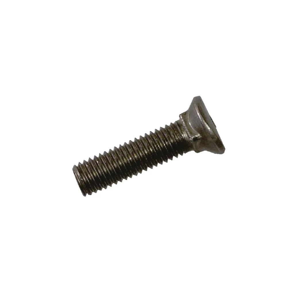 [AMAT2-375973] Șurub brăzdar M10x38 Rau RF01113
