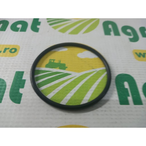 [AMAT1-28928] O-Ring