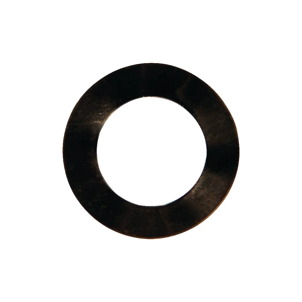 [AMAT2-376279] Disc Rau RG00007217