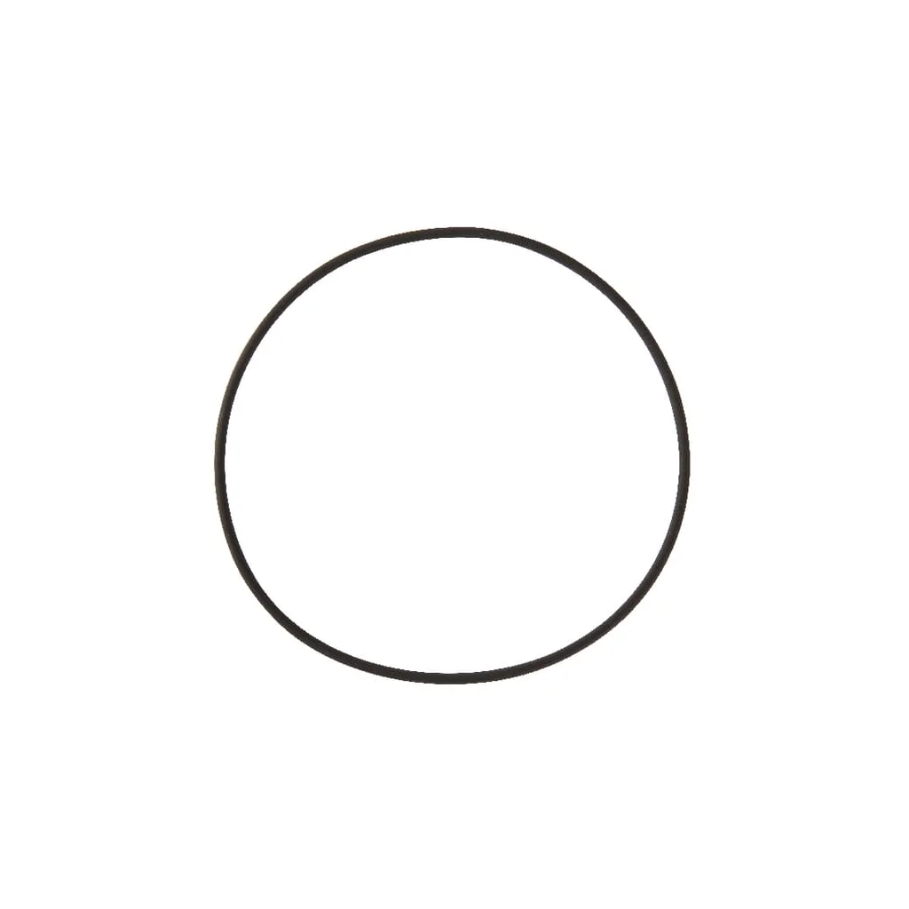 [AMAT2-377098] O-ring EPDM 101.3x2.6 RG00058723