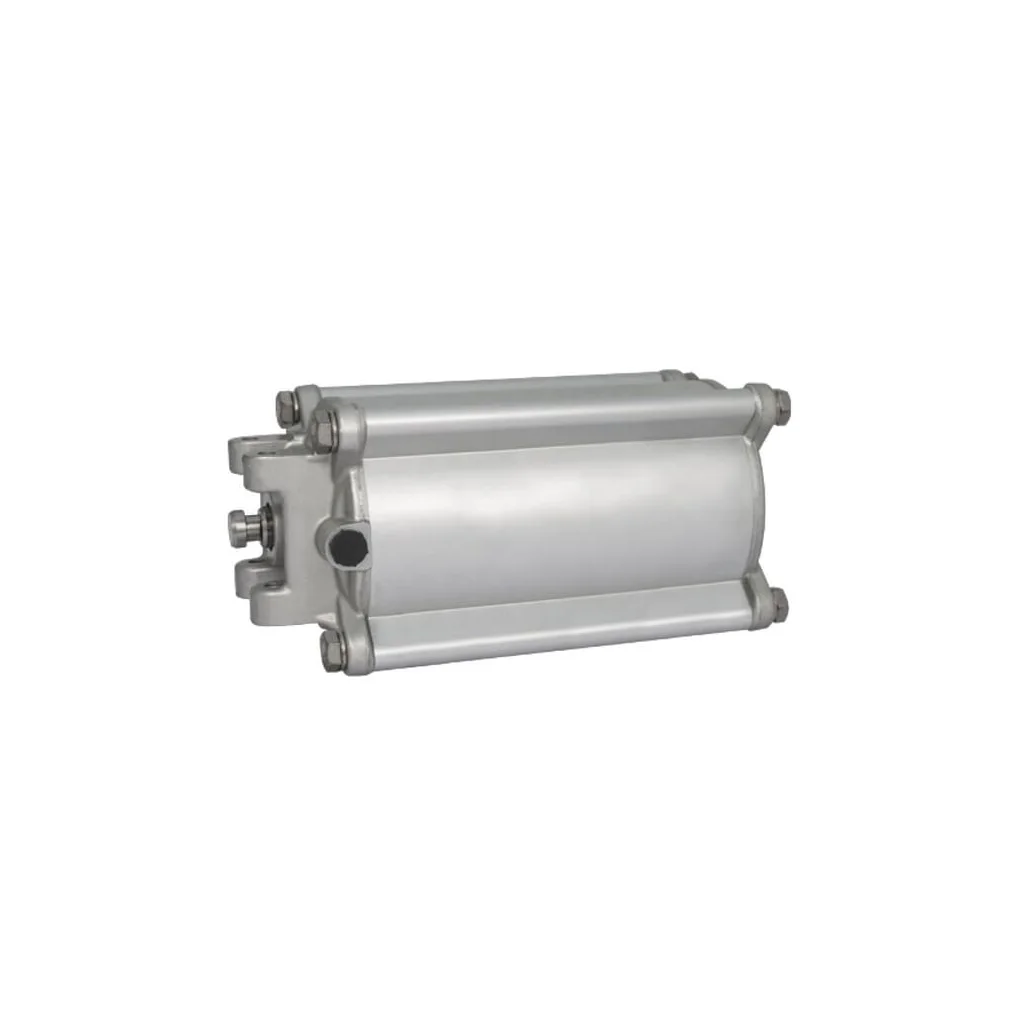 [AMAT2-377255] Cilindru pneumatic 8" cu acțiune dublă RIV164200