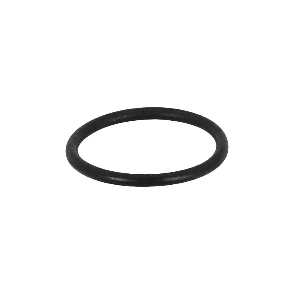 [AMAT2-377388] O-ring pentru cupa sifon OCEAN RIV9895