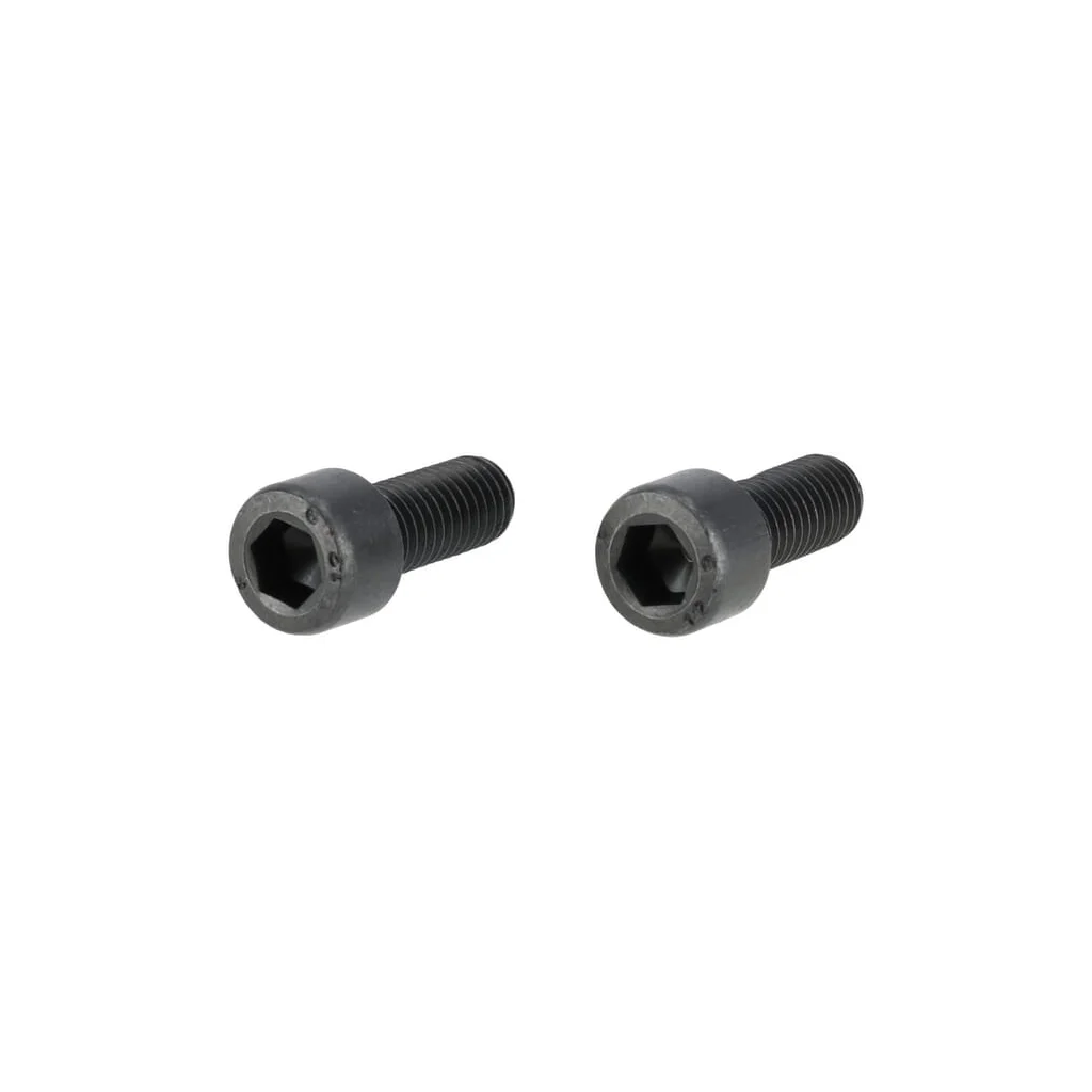 [AMAT2-381378] Şurub cu cap hexagonal interior, M10x25 12.9 SA29691