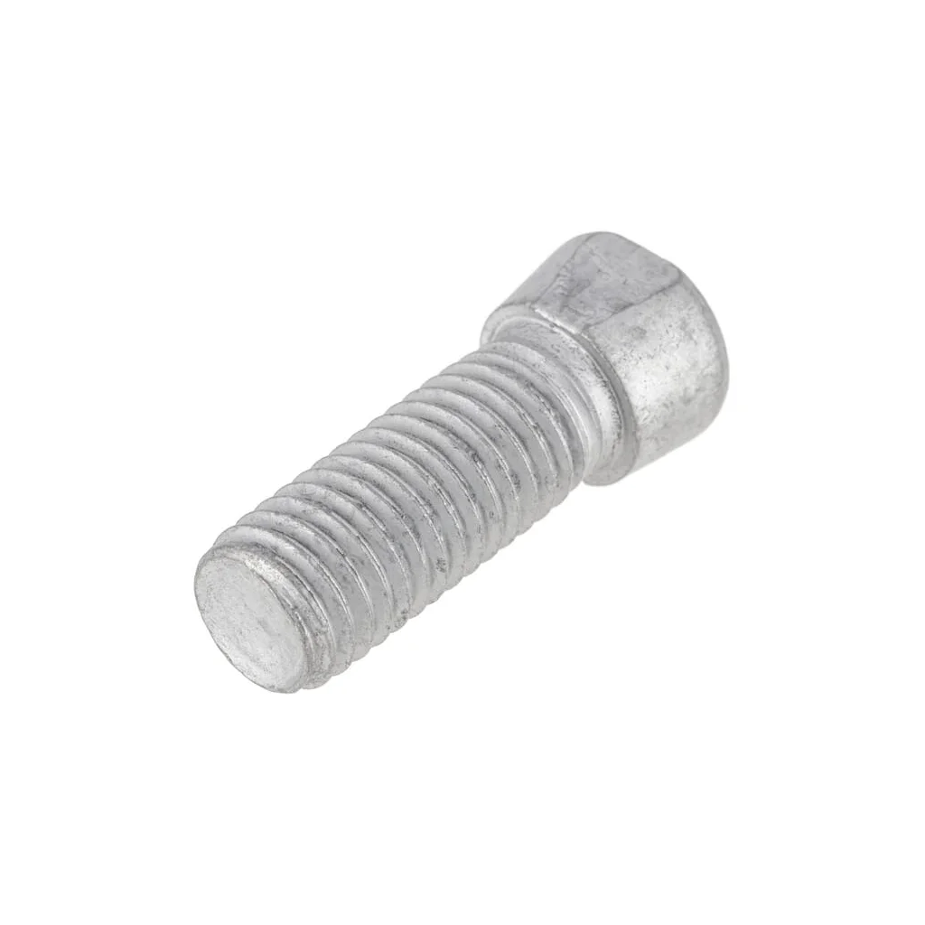 [AMAT2-293269] Șurub cu cap conic oval M12x38 F01110052R
