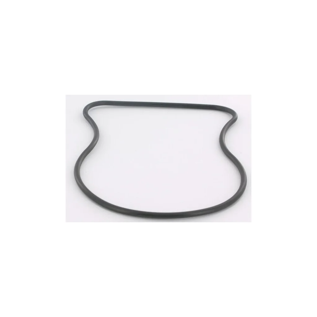 [AMAT2-288801] O-ring ET29891
